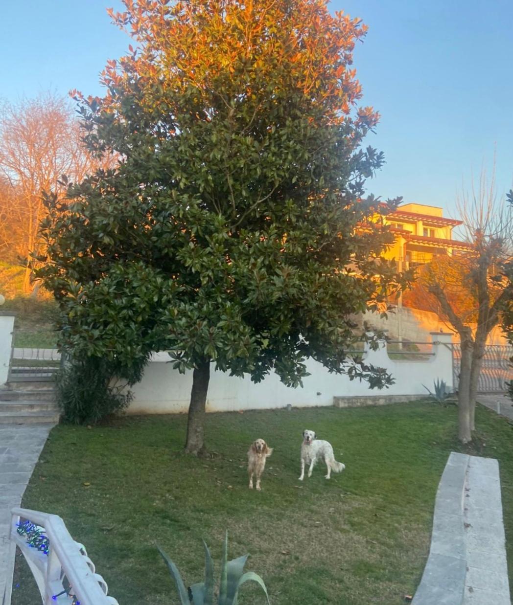 Pace, Luminosita E Comodita A Due Passi Dal Garda Volta Mantovana Habitación foto